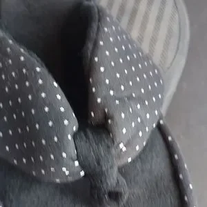 Ellen Tracy | Shoes | Womens Elleb Tracy Flops | Poshmark display picture 1